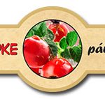 WITZ S1 pálinkacímke és nyakcímke
